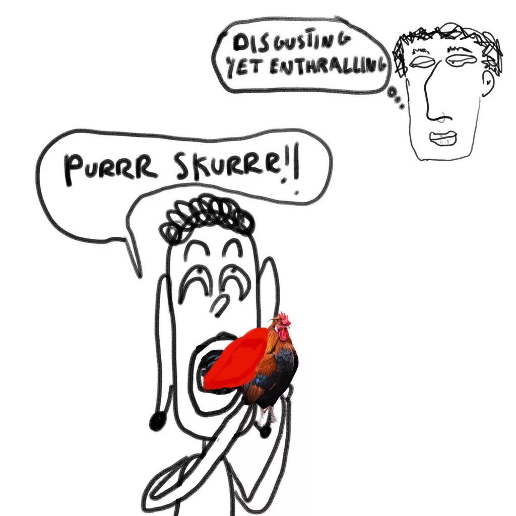 cock sucker
